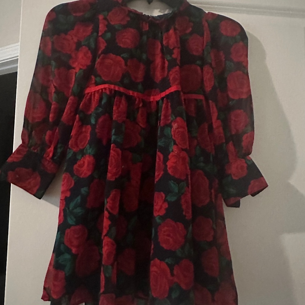 Janie and Jack Red Rose Floral Dress